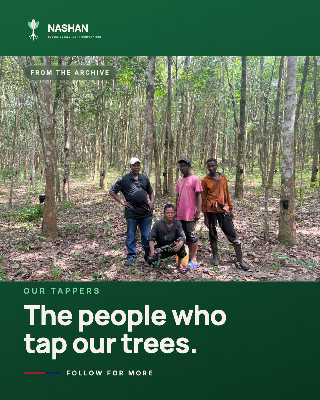The team who tap the Nashan rubber trees